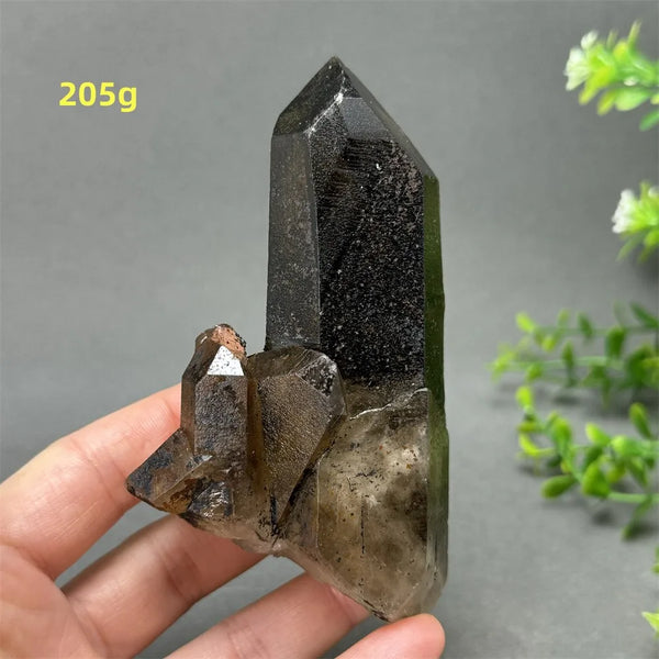 Black Quartz Crystal-ToShay.org