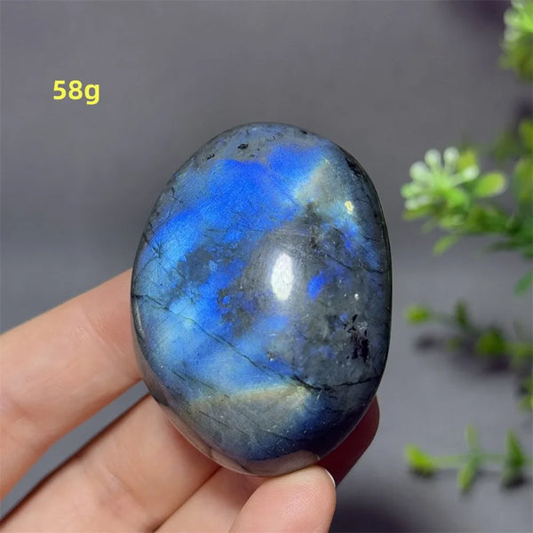 Blue Labrador Palm Stone-ToShay.org