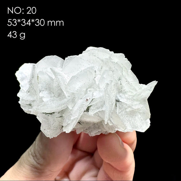 White Calcite Rose-ToShay.org