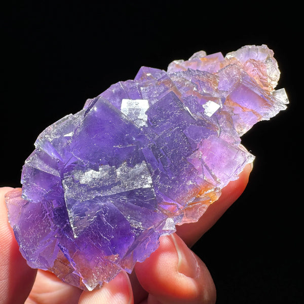 Purple Fluorite Crystal-ToShay.org
