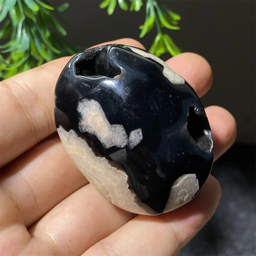 Black Flower Agate-ToShay.org