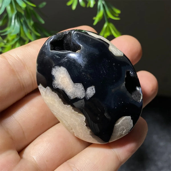 Black Flower Agate-ToShay.org