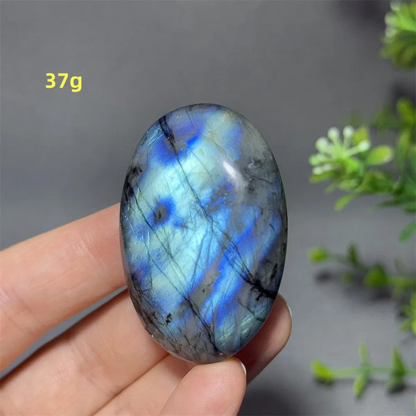 Blue Labrador Palm Stone-ToShay.org