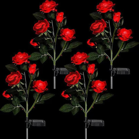 Rose Flower Lights-ToShay.org