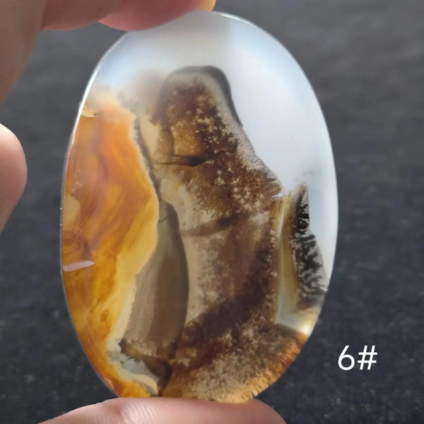 White Onyx Ocean Chalcedony-ToShay.org