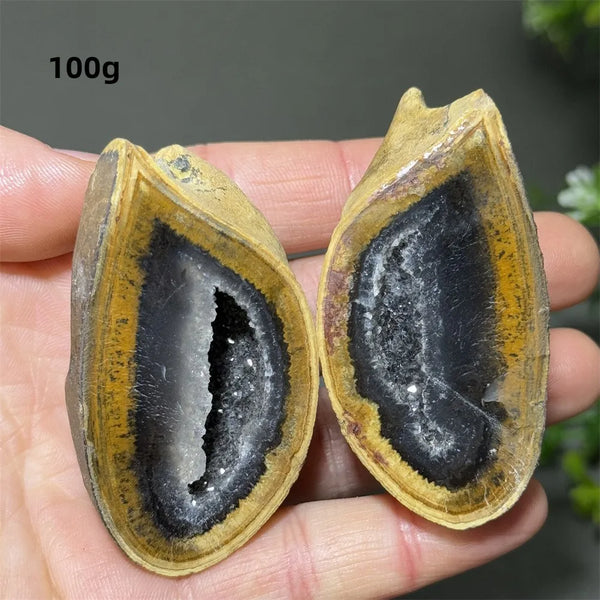 Mixed Agate Crystal Cave Egg-ToShay.org