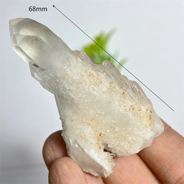 Clear Pineapple Quartz Cluster-ToShay.org