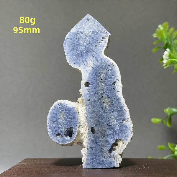 Blue Coral Crystal-ToShay.org