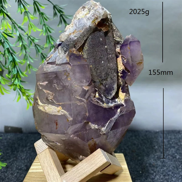Purple Amethyst Backbone Quartz-ToShay.org