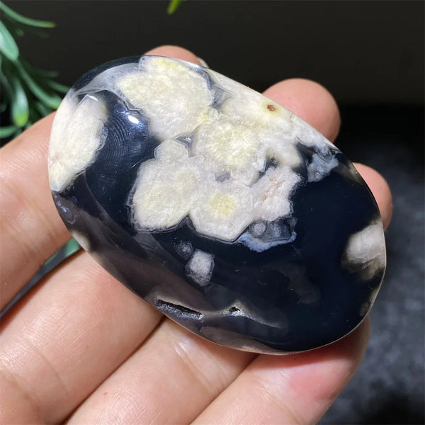 Black Flower Agate-ToShay.org