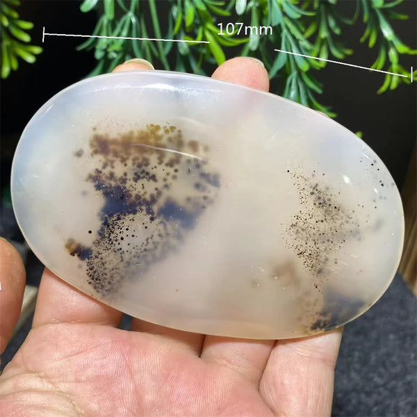 White Ink Moss Tree Agate-ToShay.org