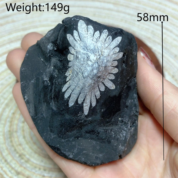 Black Chrysanthemum Raw Stone-ToShay.org