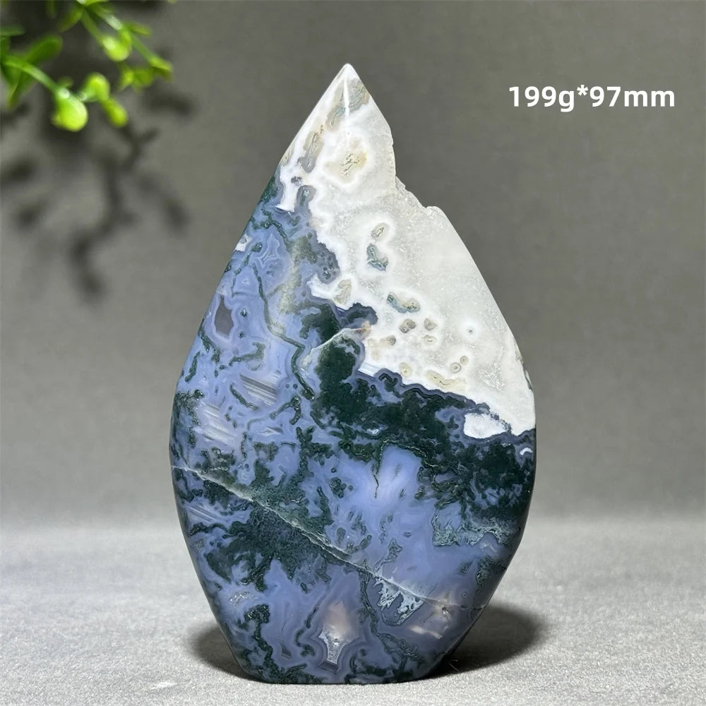 Green Aquatic Plant Agate-ToShay.org