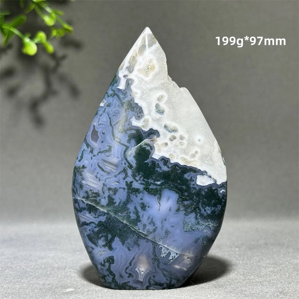 Green Aquatic Plant Agate-ToShay.org