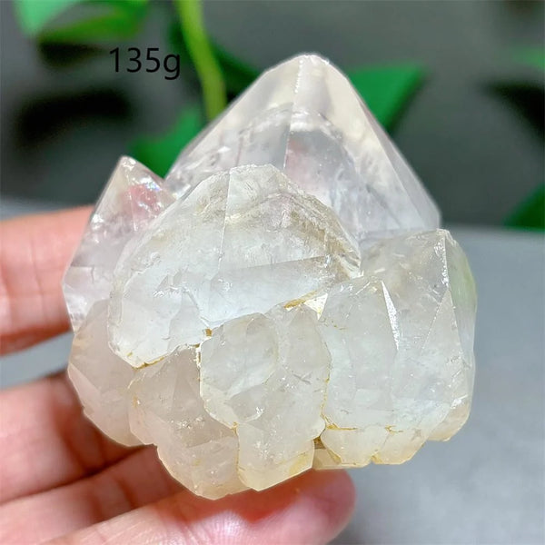 Clear Lotus Backbone Quartz Cluster-ToShay.org