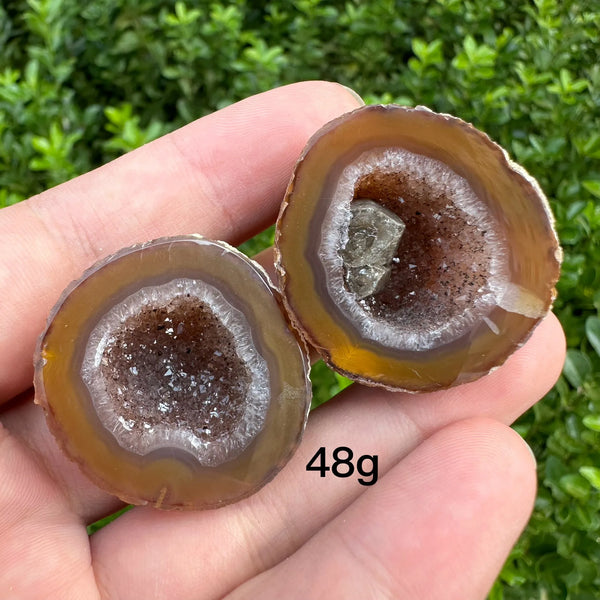 Mixed Agate Crystal Geode-ToShay.org