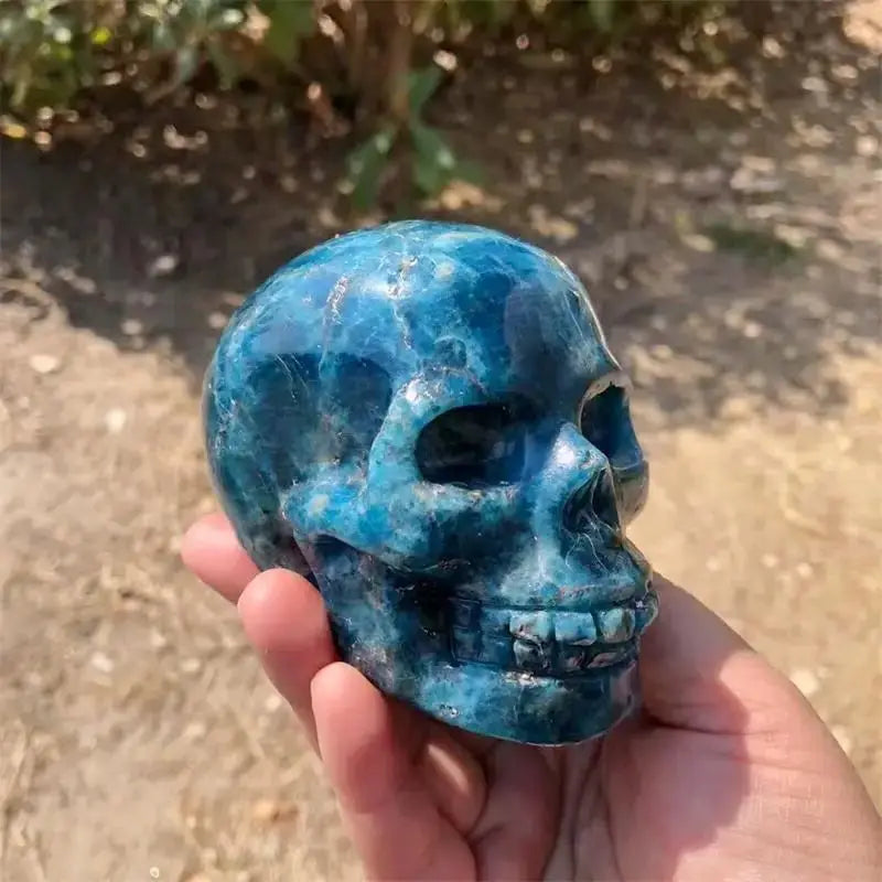 Blue Apatite Skull-ToShay.org