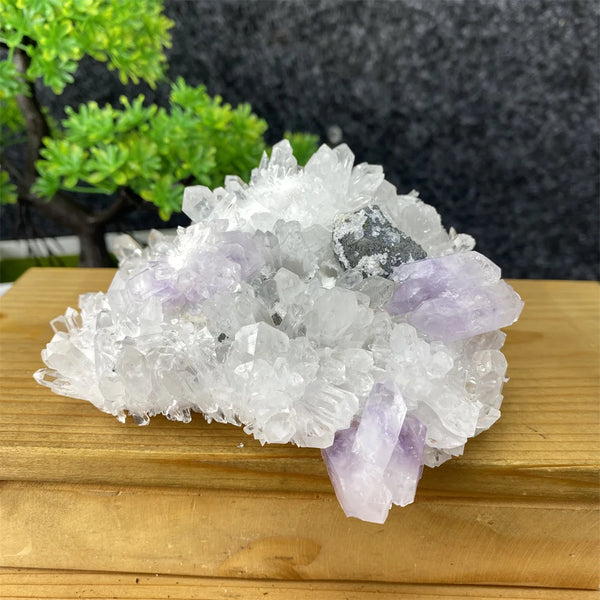 White Crystal Quartz-ToShay.org