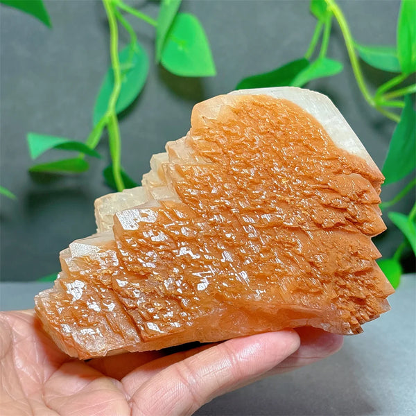 White Calcite Quartz Stone-ToShay.org