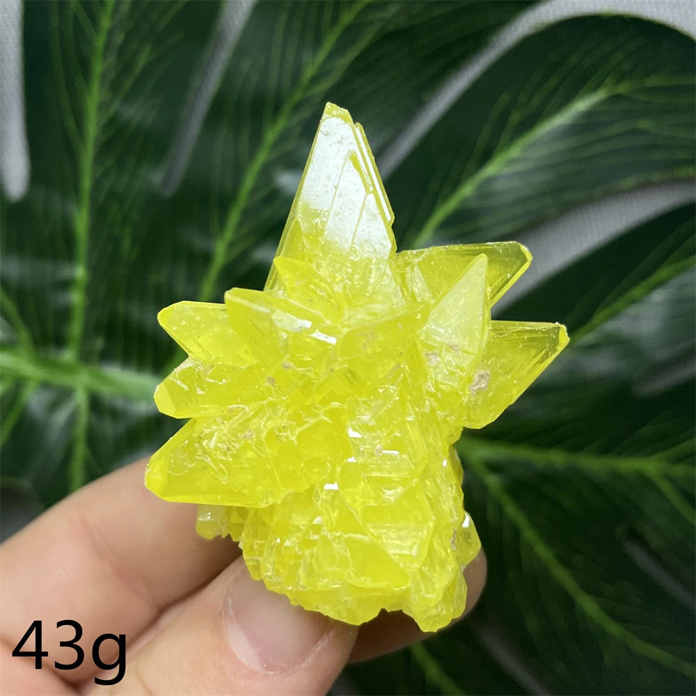 Yellow Sulfur Clusters-ToShay.org