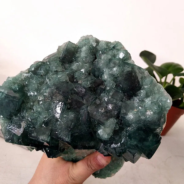 Green Fluorite Crystal Flower-ToShay.org