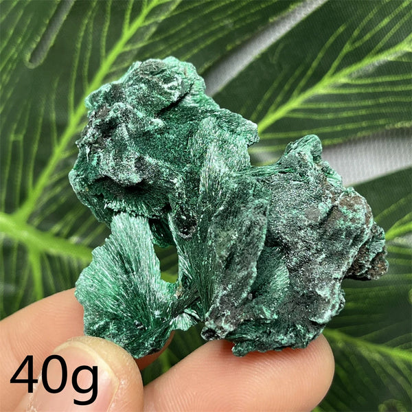 Green Malachite Silk Luster Crystal-ToShay.org