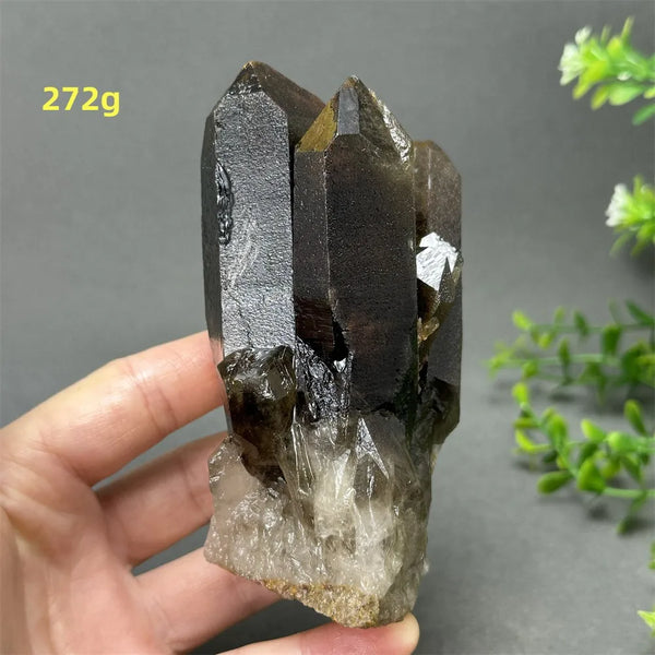 Black Quartz Crystal-ToShay.org