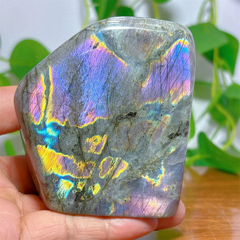 Purple Labradorite Crystal-ToShay.org