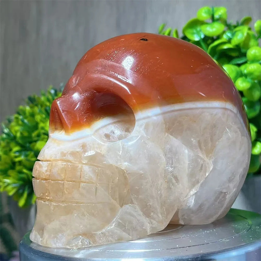 Red Carnelian Skull-ToShay.org