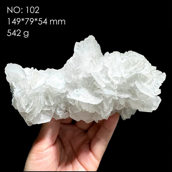White Calcite Rose-ToShay.org