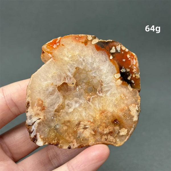 Red Cherry Blossom Agate-ToShay.org