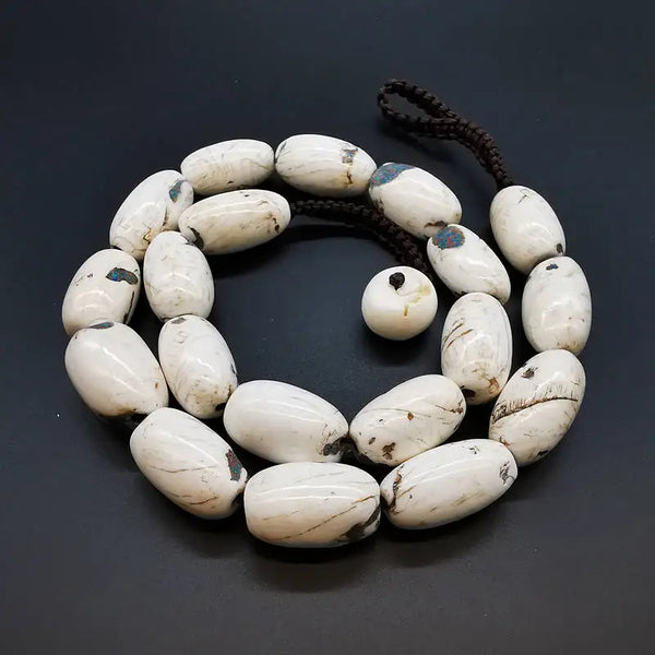 White Conch Shell Necklaces-ToShay.org