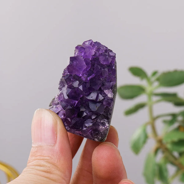Purple Amethyst Cluster-ToShay.org