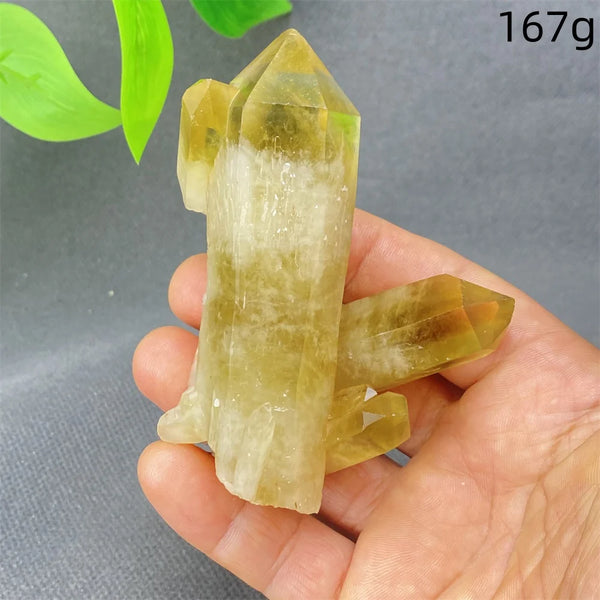 Yellow Black Smoky Quartz-ToShay.org