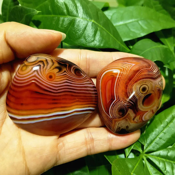 Red Sardonyx Agate-ToShay.org