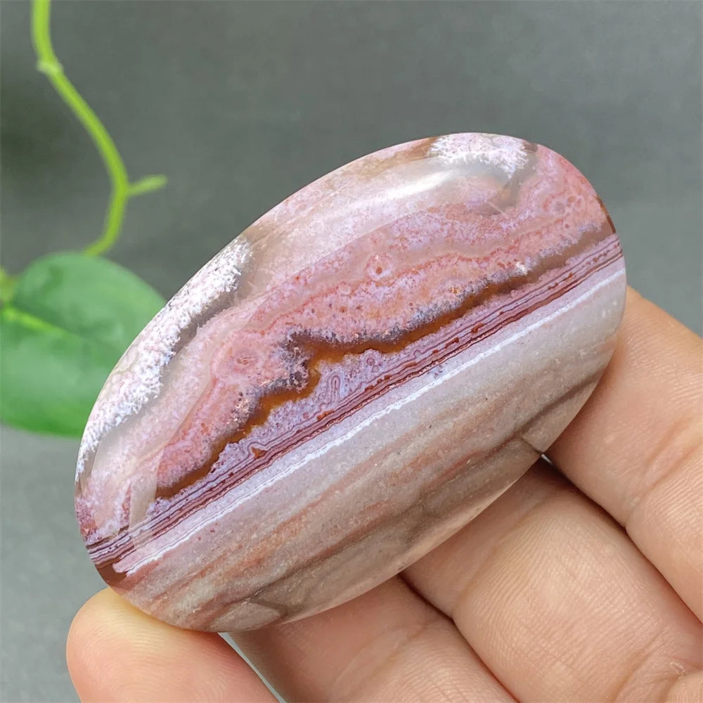 Red Lace Crazy Agate-ToShay.org