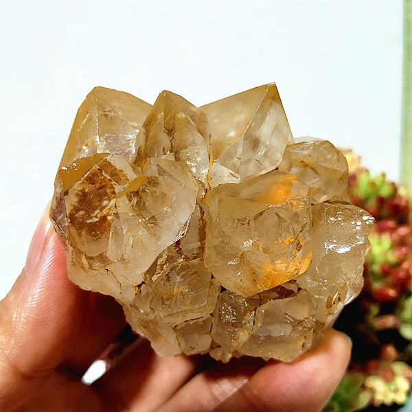 Yellow Mud Sparkling Clusters-ToShay.org