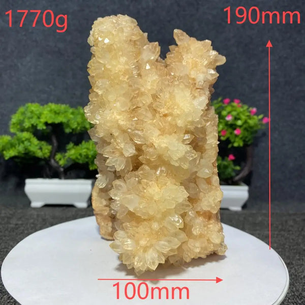 White Quartz Crystal Cluster-ToShay.org