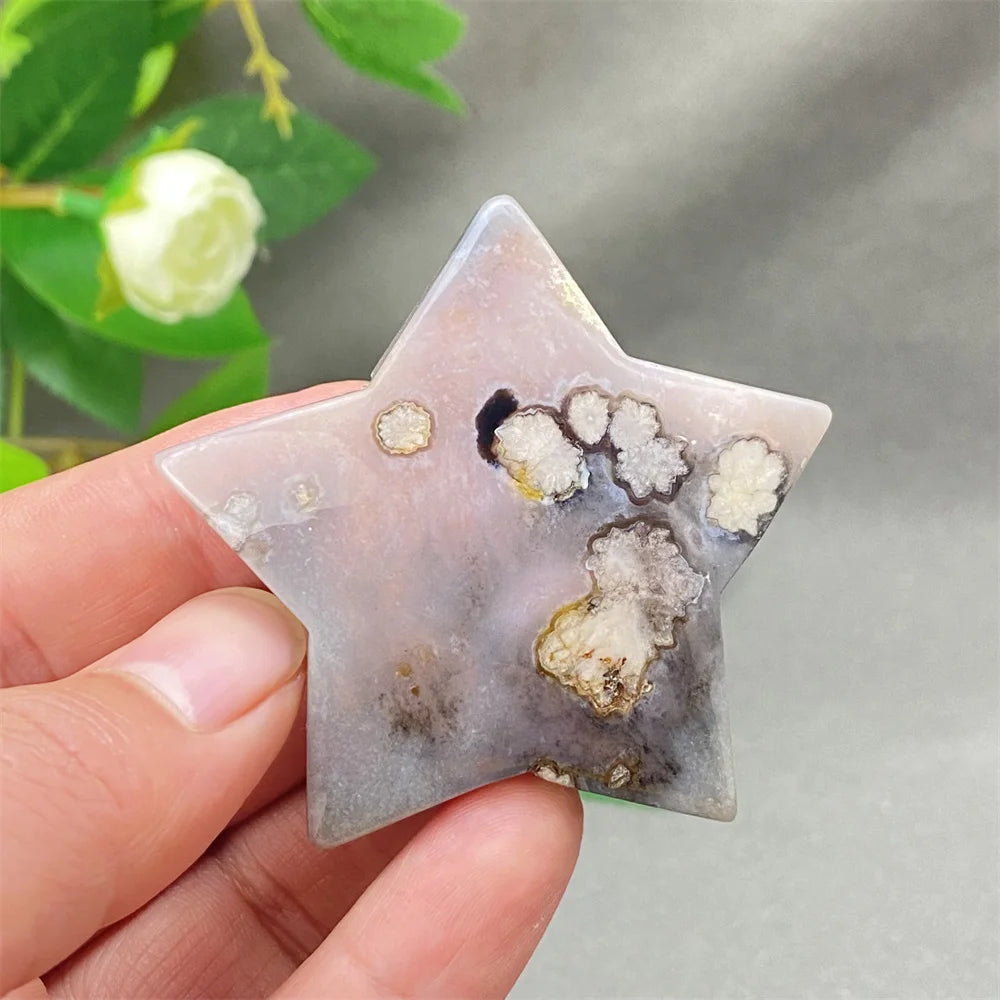 Black Cherry Blossom Agate-ToShay.org