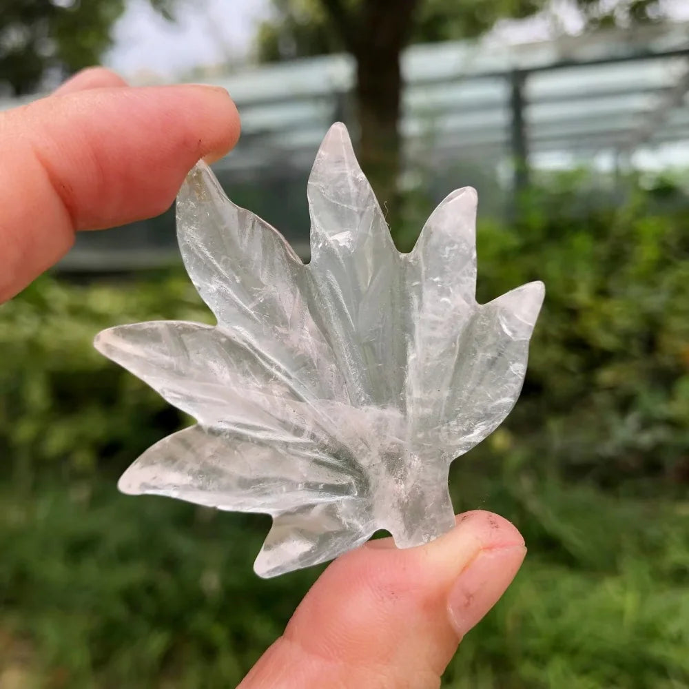 Mixed Crystal Leaf-ToShay.org