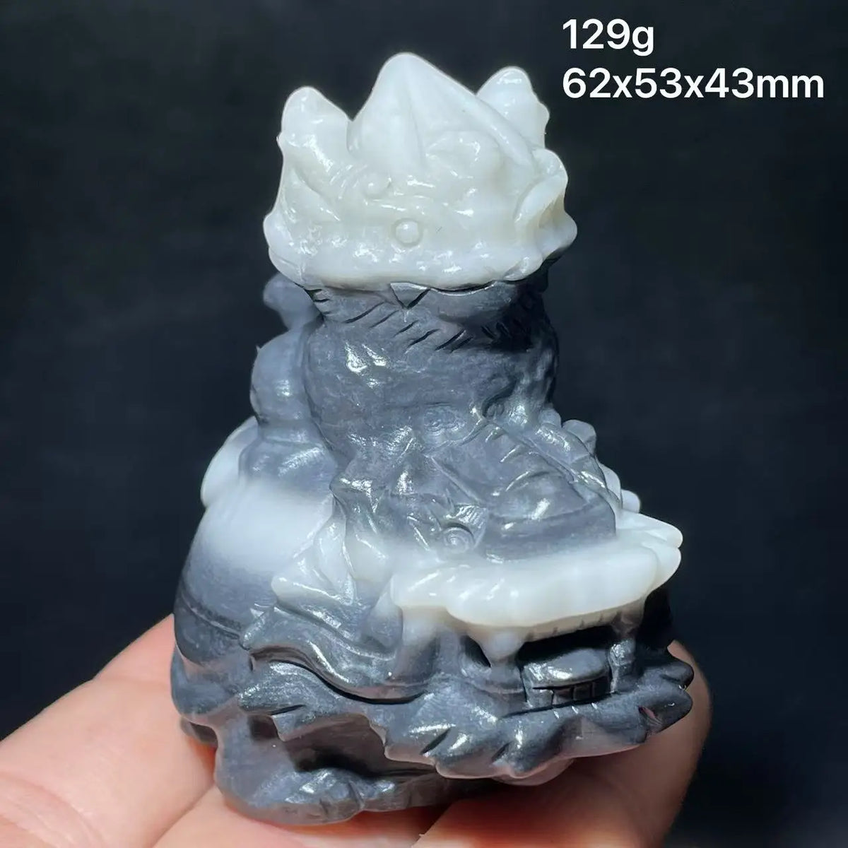 Mixed Crystal Dragon Turtles-ToShay.org