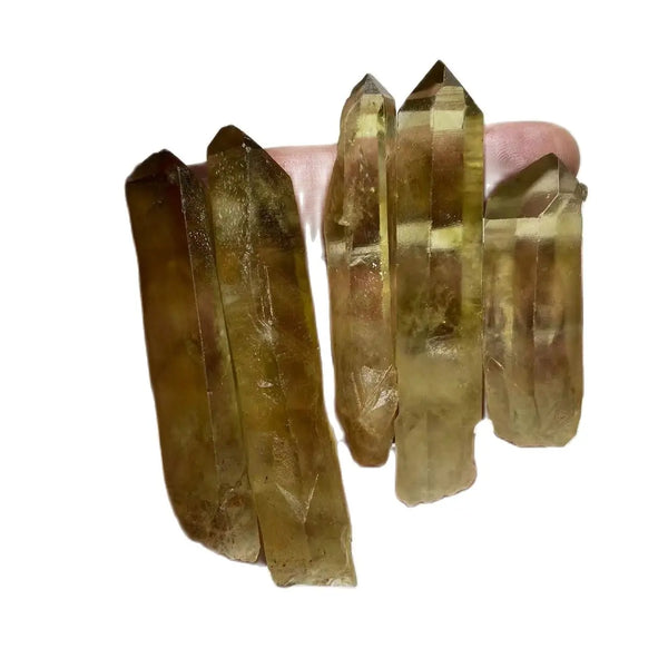 Smoky Lemurian Seed Chips-ToShay.org