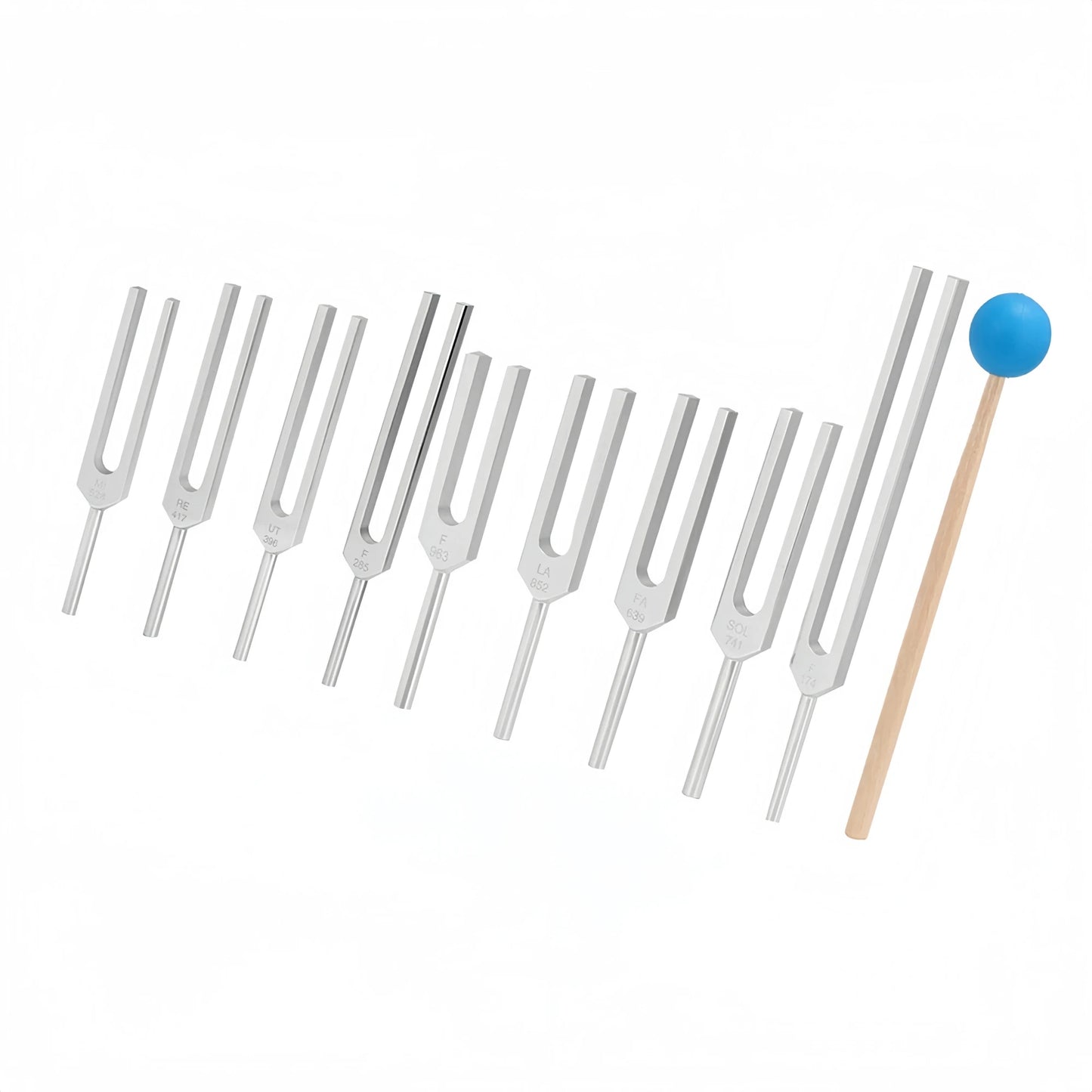 Tuning Fork Set-ToShay.org