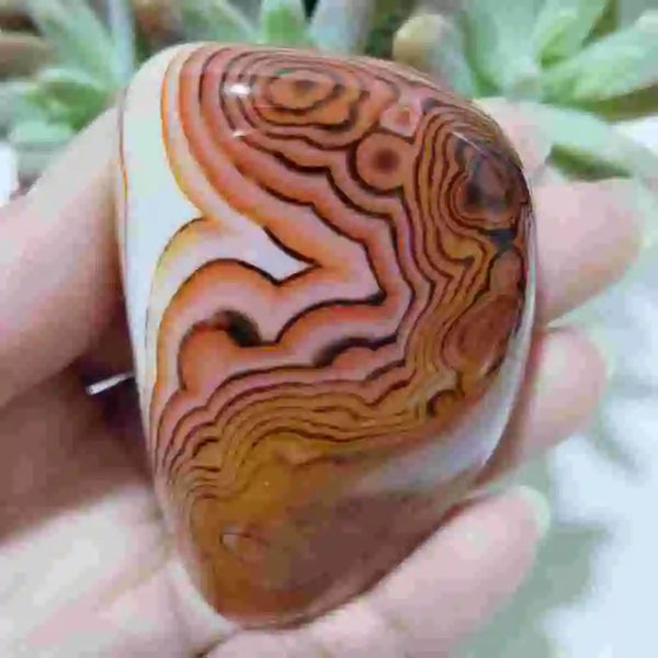 Red Lace Agate Pendant-ToShay.org