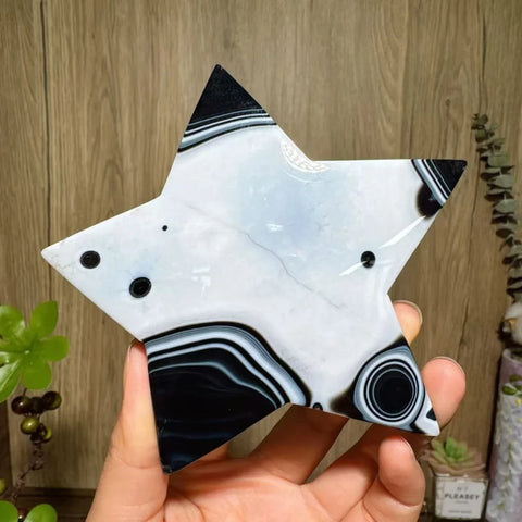 Black Agate Star-ToShay.org