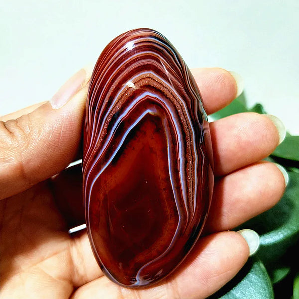 Red Lace Sardonyx Palm Stones-ToShay.org