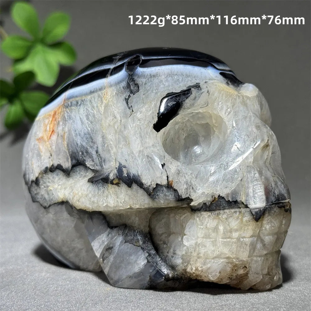 Black Agate Skull-ToShay.org