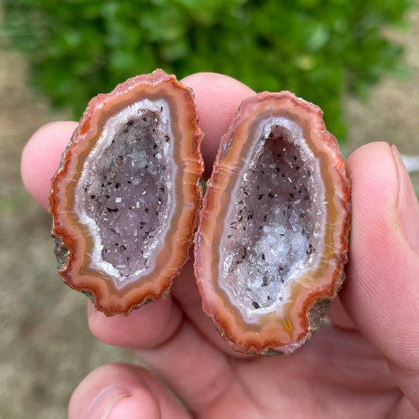 Red Sardonyx Geode Egg-ToShay.org