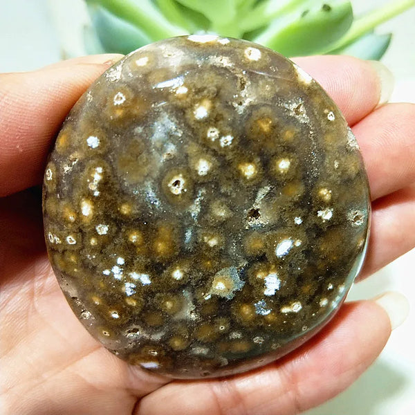Ocean Jasper Palm Stone-ToShay.org