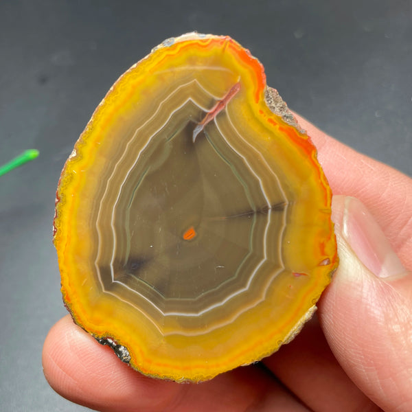Yellow Sardonyx Rough Egg-ToShay.org